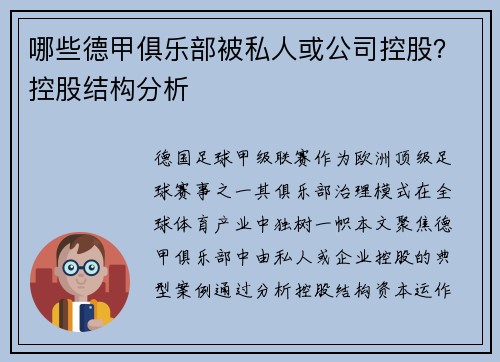 哪些德甲俱乐部被私人或公司控股？控股结构分析